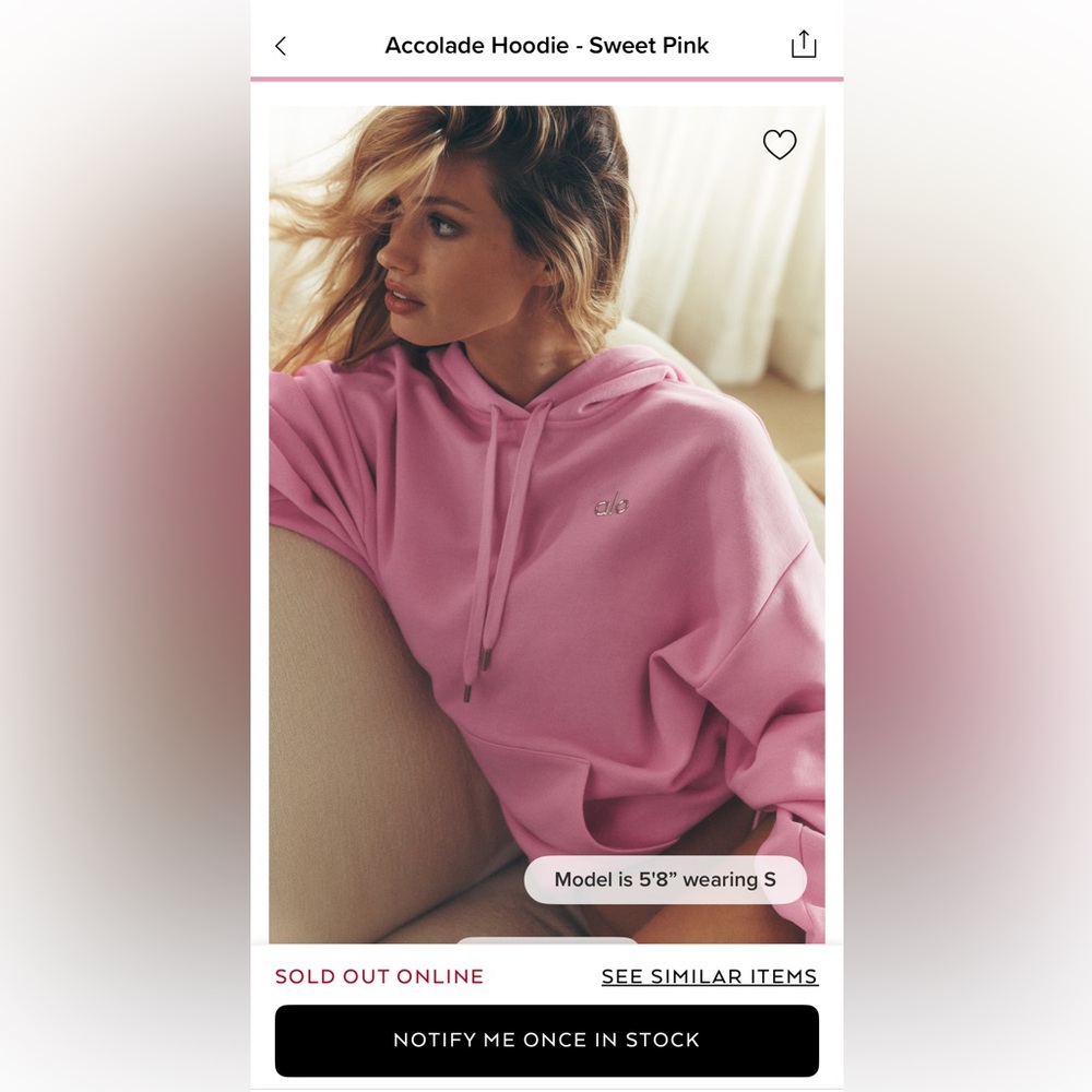 Accolade sweet pink hoodie BNWT size S